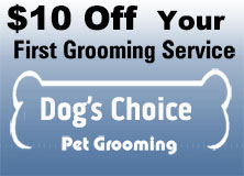 dog grooming coupon