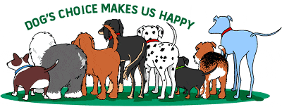 DOG GROOMING ANIMATION